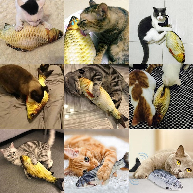 Peixe Divertido | Para Gato